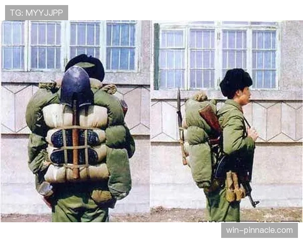 瑞典队战术打法深度解读